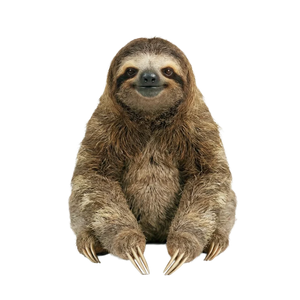 Lenochod