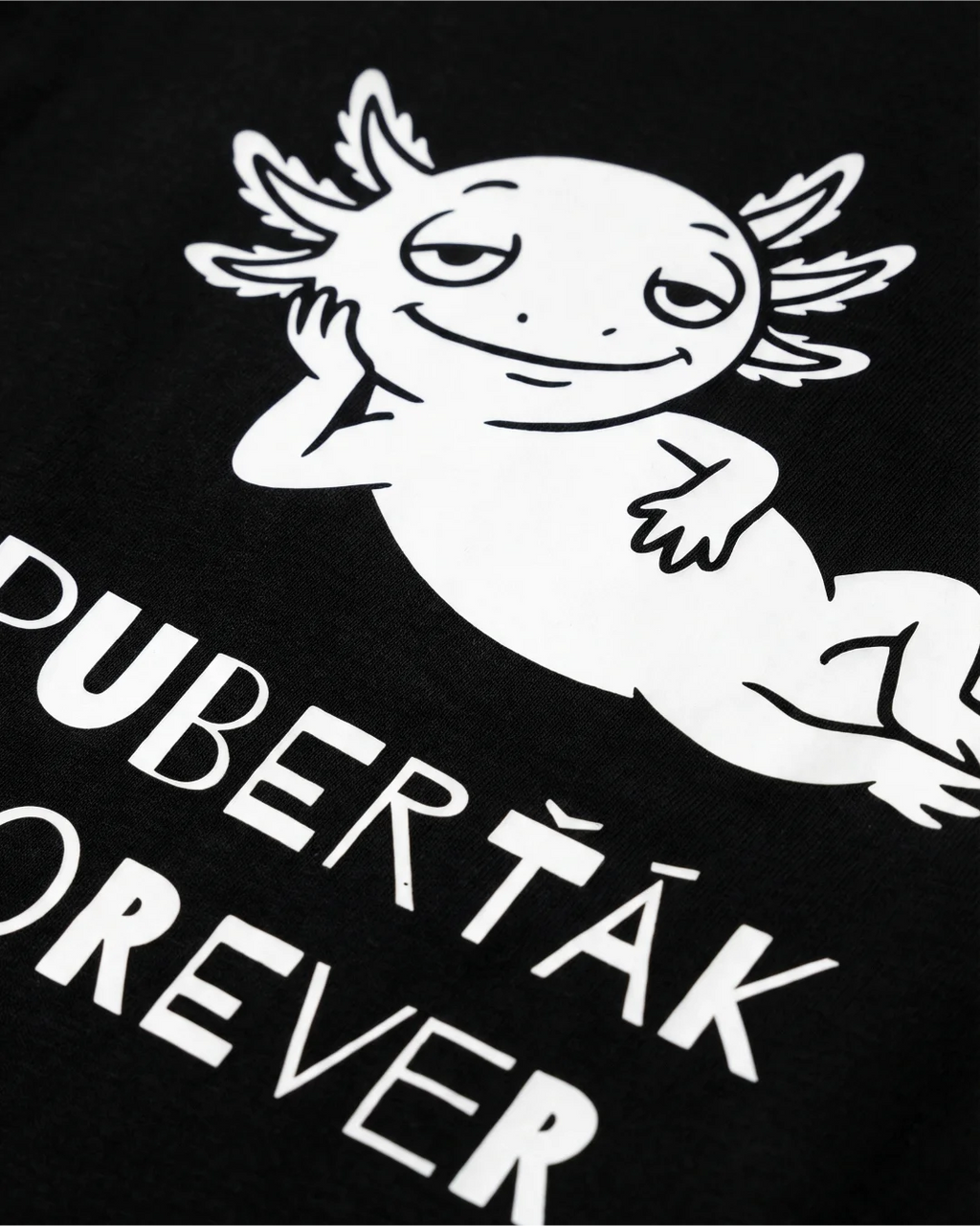 Tričko Heavyweight Premium AXOLOTL