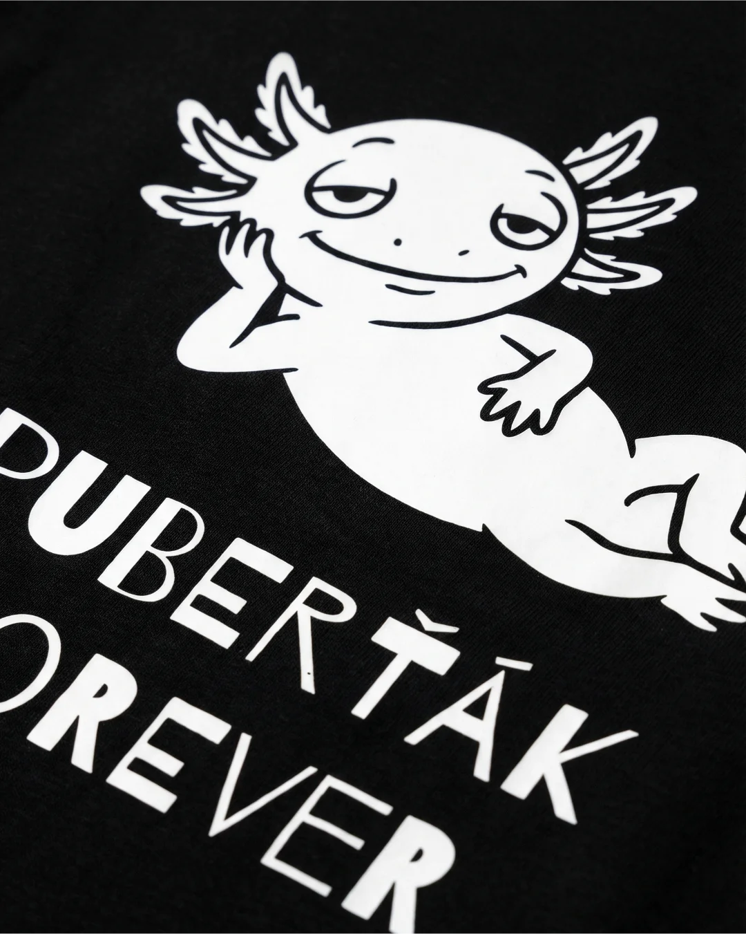 Tričko Heavyweight Premium AXOLOTL