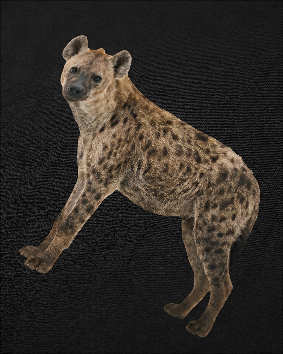Tričko Heavyweight HYENA FC
