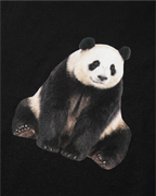 Tričko Heavyweight PANDA FC