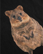 Tričko Heavyweight QUOKKA FC