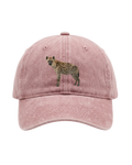 Kšiltovka Washed Cotton HYENA