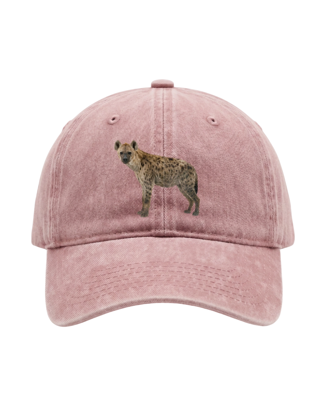 Kšiltovka Washed Cotton HYENA