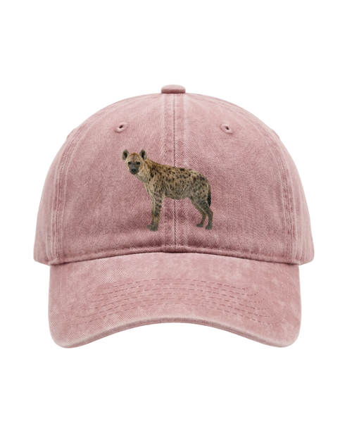 Kšiltovka Washed Cotton HYENA