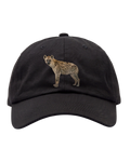 Kšiltovka Studio Cotton HYENA FC