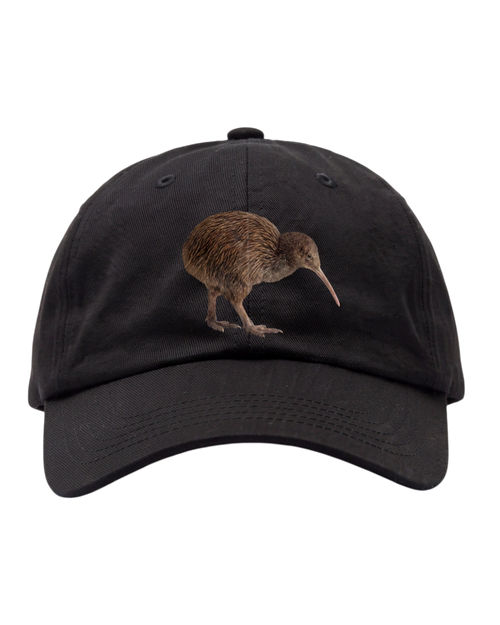 Kšiltovka Studio Cotton KIVI / KIWI FC