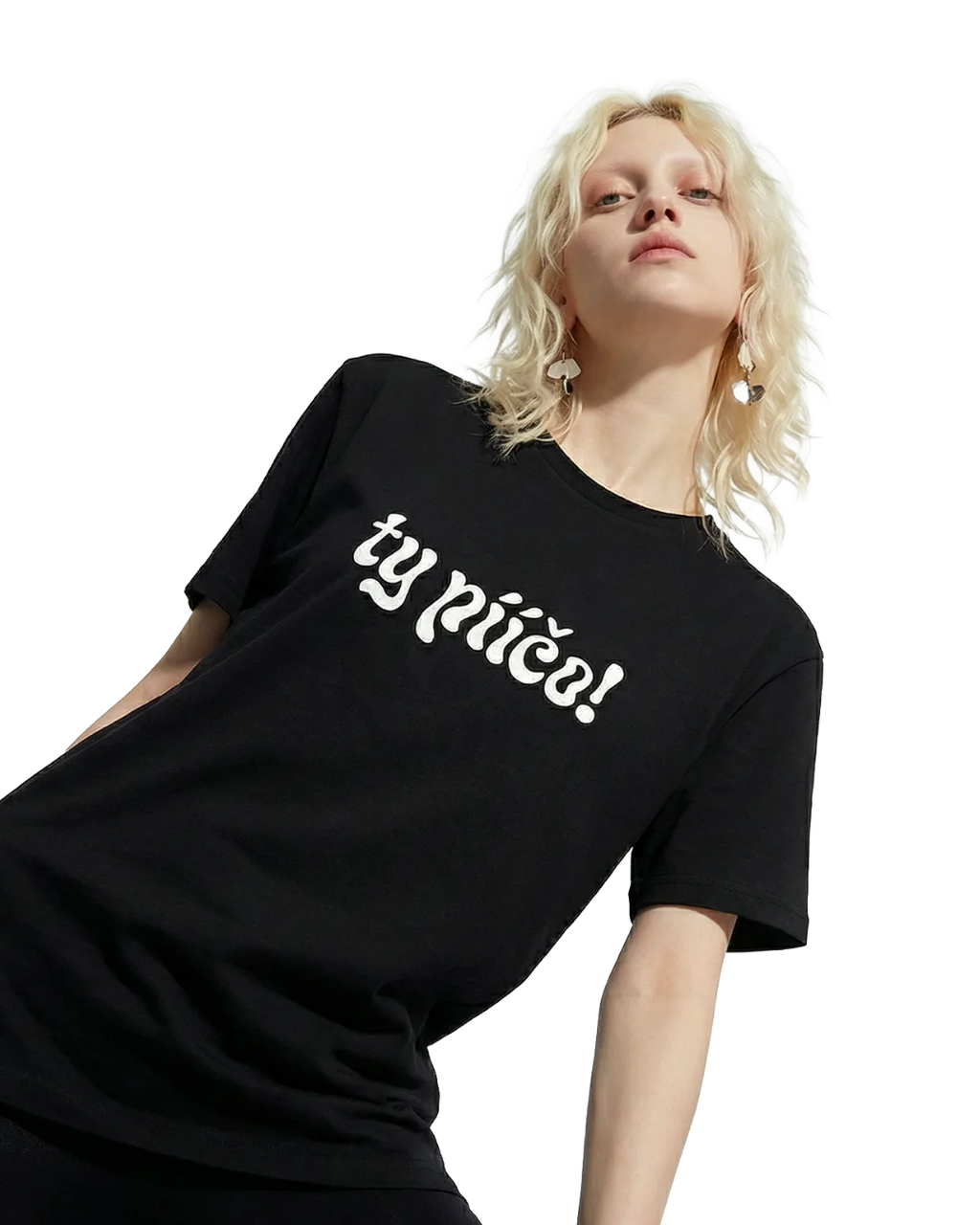 Tričko Heavyweight Premium TY PÍČO! 2.0