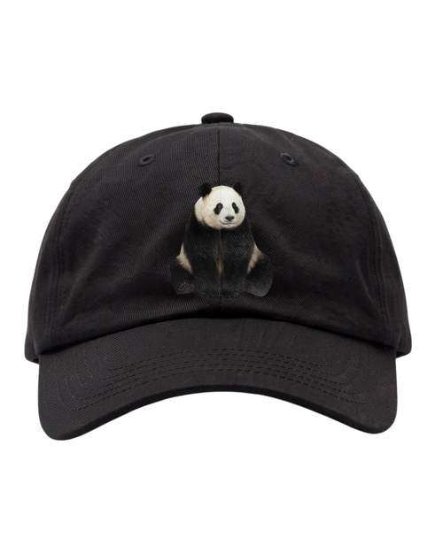 Kšiltovka Studio Cotton PANDA FC