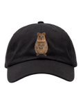 Kšiltovka Studio Cotton QUOKKA FC