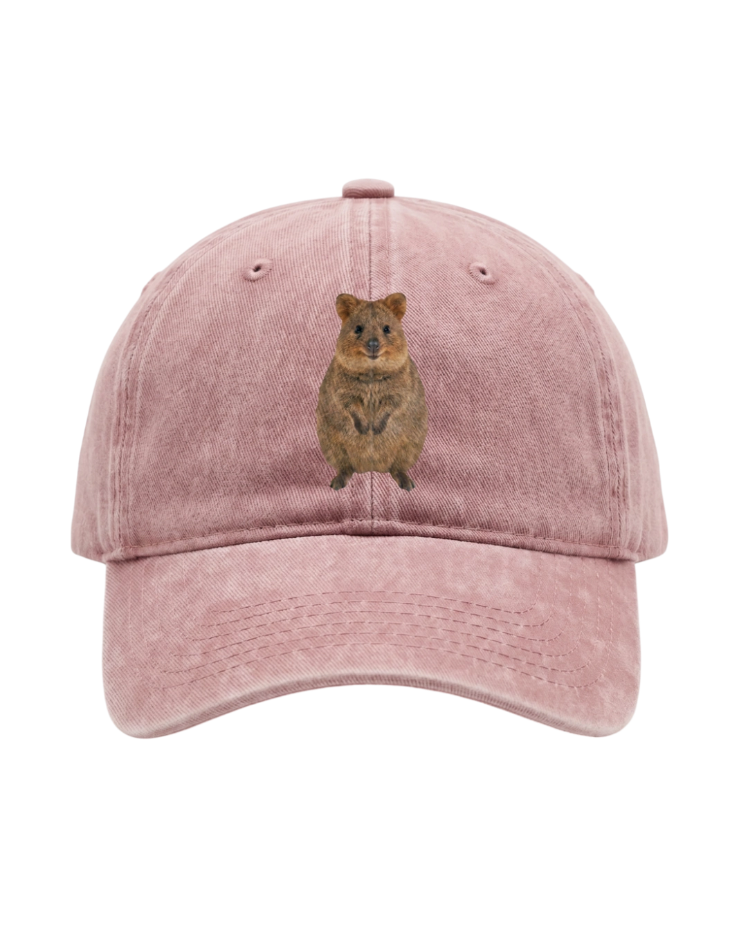 Kšiltovka Washed Cotton QUOKKA